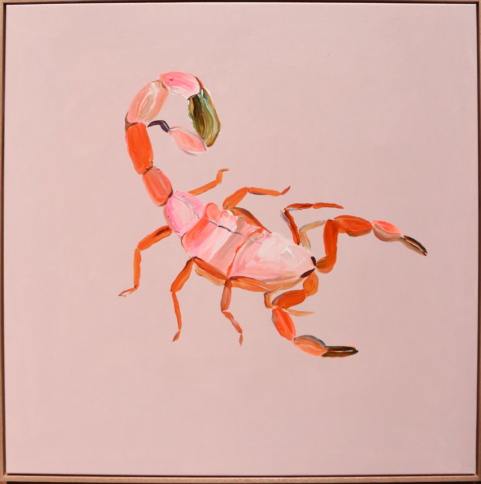 Spicy scorpion