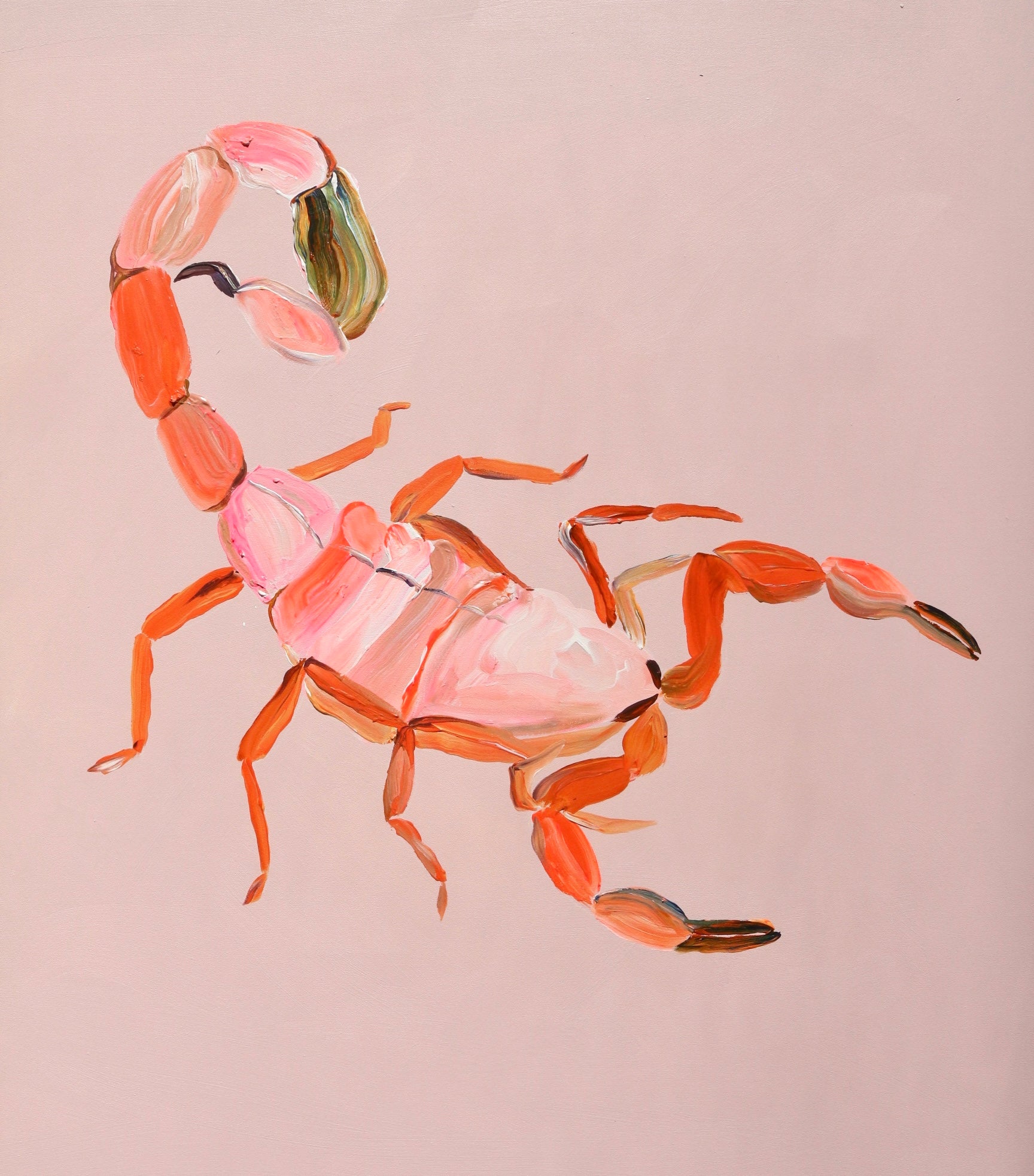 Spicy scorpion